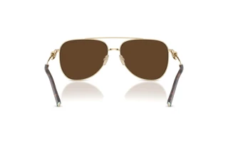 Rear view Tiffany TF3116 (61933G)