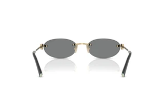 Rear view Tiffany TF3119D (602187)
