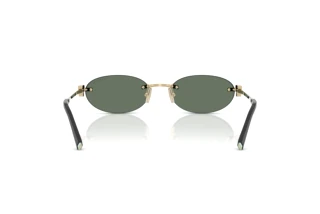 Rear view Tiffany TF3119D (623882)