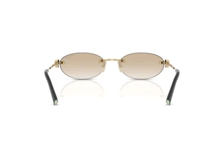 Rear view Tiffany TF3119D (623911)