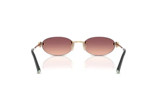 Rear view Tiffany TF3119D (62408D)