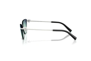 Side view Tiffany TF3120 (60019S)