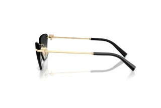 Side view Tiffany TF3120 (62413C)