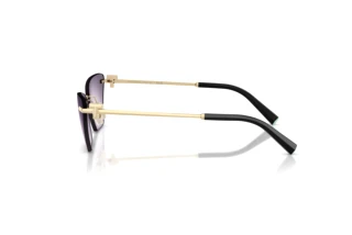 Side view Tiffany TF3120 (62438H)