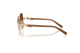 Side view Tiffany TF3122 (61773B)