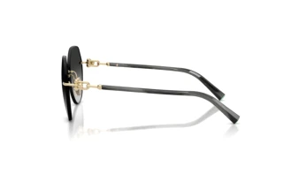 Side view Tiffany TF3123 (62413C)