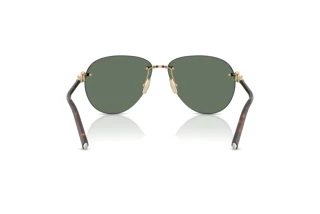 Rear view Tiffany TF3124 (60213H)