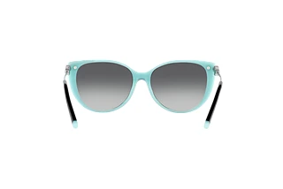 Rear view Tiffany TF4178 (8055T3)