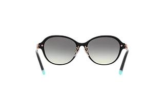 Rear view Tiffany TF4188D (80013C)