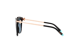 Side view Tiffany TF4193B (80019S)