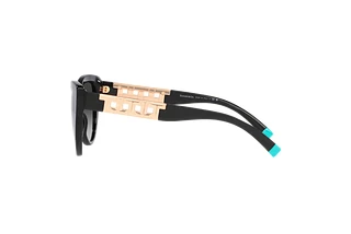 Side view Tiffany TF4196 (80013C)