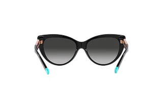 Rear view Tiffany TF4196 (80013C)