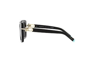 Side view Tiffany TF4199 (8001S4)