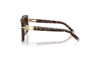 Side view Tiffany TF4199 (80153B)