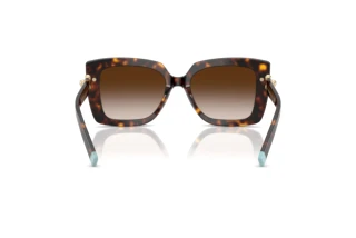 Rear view Tiffany TF4199 (80153B)