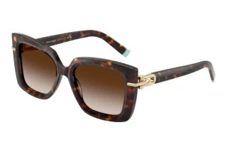 Front view Tiffany TF4199 (80153B)