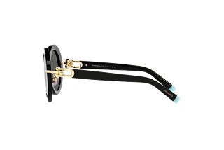 Side view Tiffany TF4201 (8001S4)