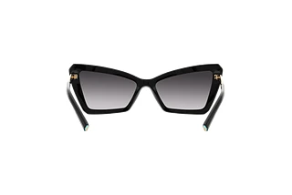 Rear view Tiffany TF4203 (80013C)