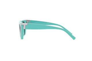 Side view Tiffany TF4205U (83883C)