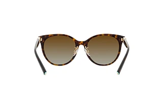 Rear view Tiffany TF4209D (8015T5)