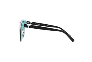Side view Tiffany TF4209D (8055/1)