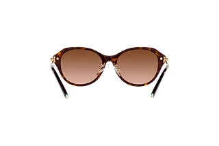 Rear view Tiffany TF4210D (80153B)