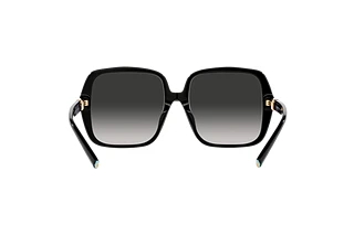 Rear view Tiffany TF4211D (80013C)