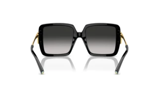 Rear view Tiffany TF4212U (80013C)