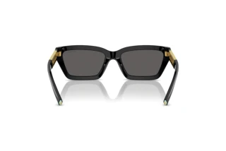 Rear view Tiffany TF4213 (8001S4)