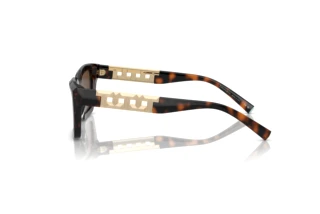 Side view Tiffany TF4213 (80153G)