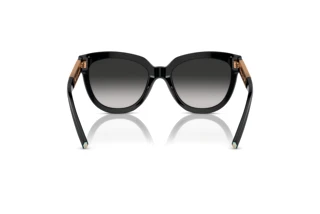 Rear view Tiffany TF4215 (80013C)