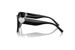 Side view Tiffany TF4216 (80013C)