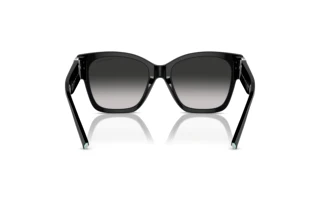 Rear view Tiffany TF4216 (80013C)