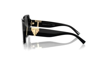 Side view Tiffany TF4219 (80013C)