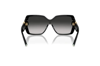 Rear view Tiffany TF4219 (80013C)