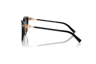 Side view Tiffany TF4223D (80013C)