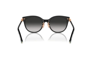 Rear view Tiffany TF4223D (80013C)