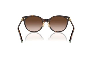 Rear view Tiffany TF4223D (80153B)