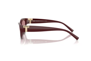 Side view Tiffany TF4225U (838930)