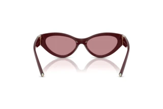 Rear view Tiffany TF4225U (838930)