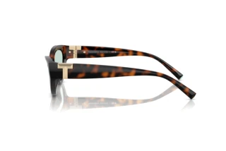 Side view Tiffany TF4225U (8429D9)