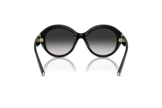 Rear view Tiffany TF4227BU (80013C)