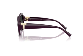 Side view Tiffany TF4227BU (84273C)