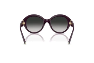 Rear view Tiffany TF4227BU (84273C)