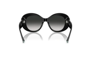 Rear view Tiffany TF4228 (80013C)