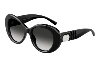 Front view Tiffany TF4228 (80013C)
