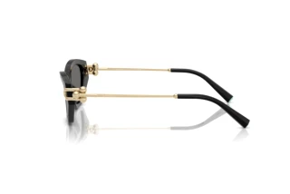 Side view Tiffany TF4231U (800181)