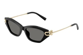 Front view Tiffany TF4231U (800181)