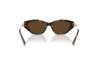 Rear view Tiffany TF4231U (80153G)