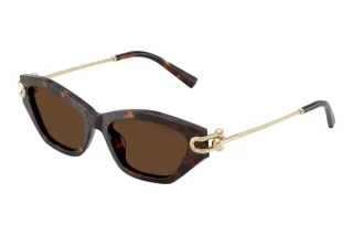 Front view Tiffany TF4231U (80153G)